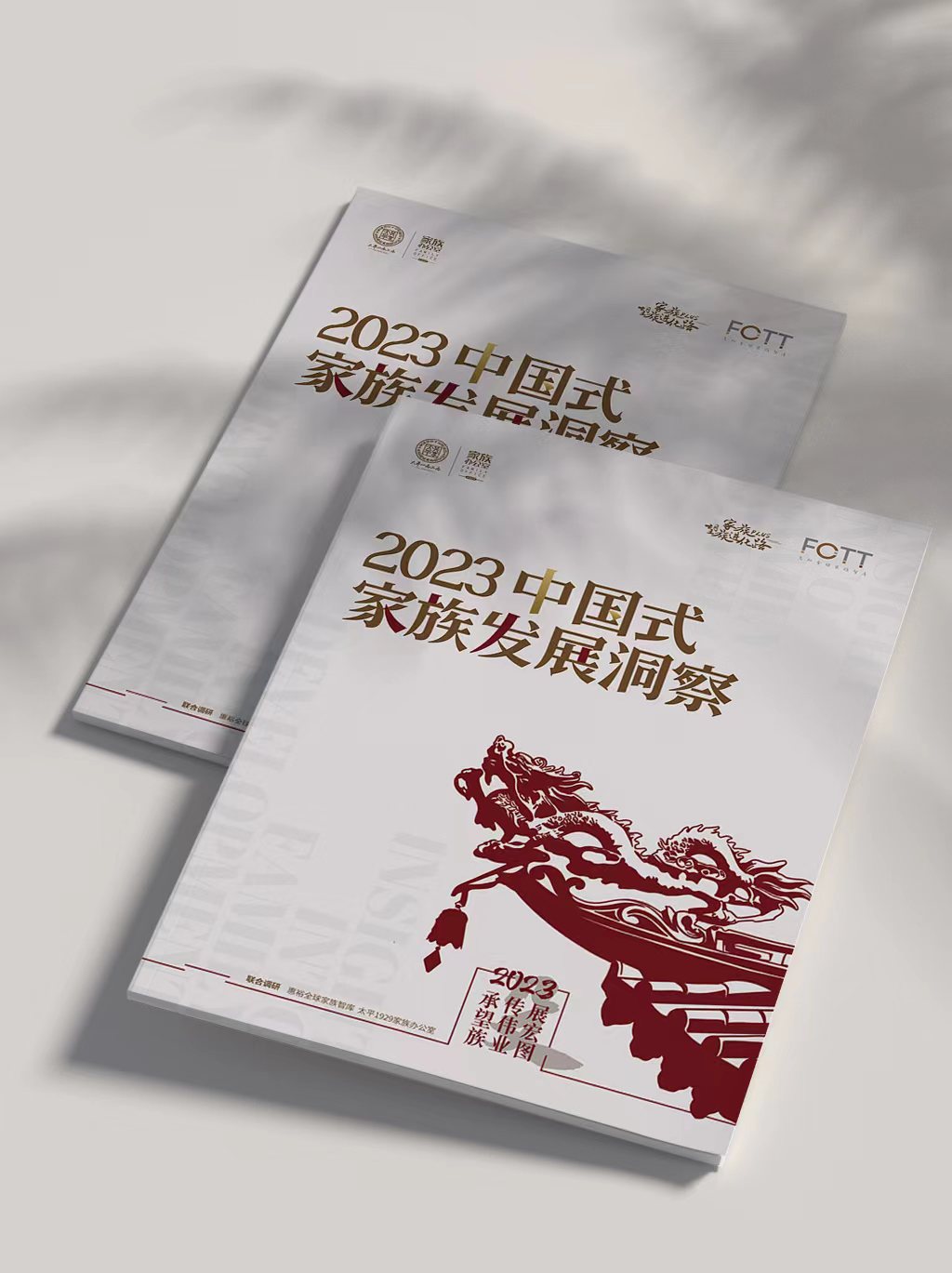 2023中国式家族发展洞察