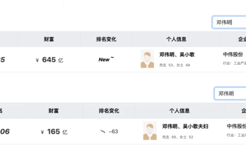贵州铜仁首富又要IPO！中伟股份“发展全球化”部署：冲刺香港联交所