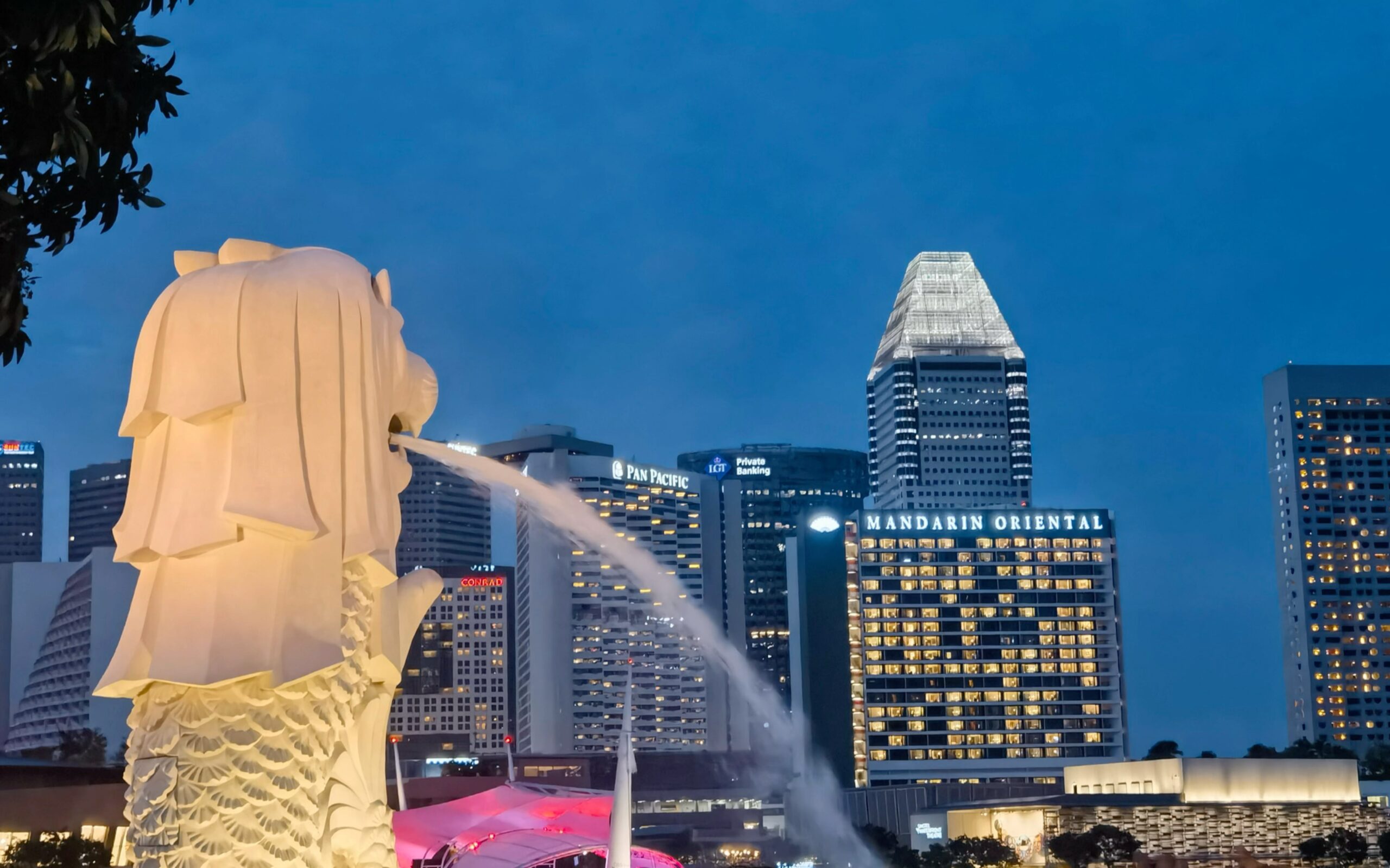 为何家办丑闻总是指向新加坡？这四点原因说明白了