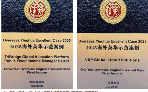 站在北极看世界：中国财富的全球配置能力短板与本土破局 ——维世资产访谈
